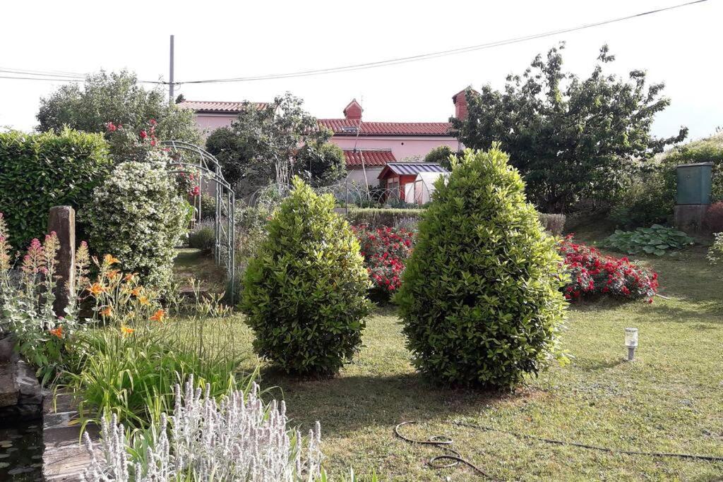 Apartma Oljka Pomjan Šmarje Kültér fotó